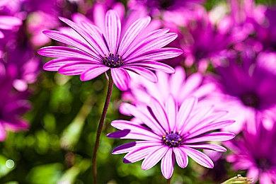 《灵魂骇客2》游戏情报④ 避免骇入 世界的终结末日